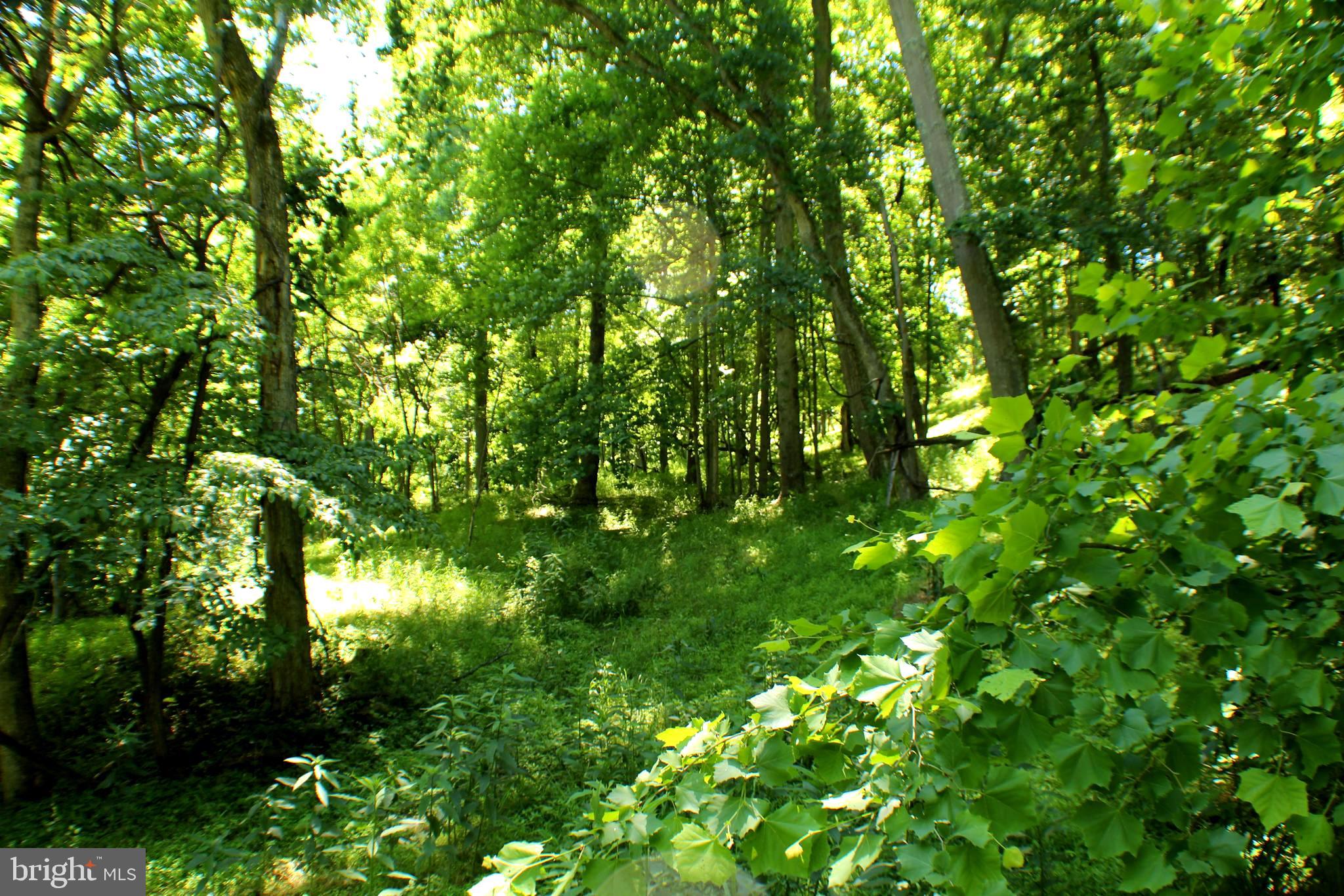 UNRESTRICTED LAND - Land