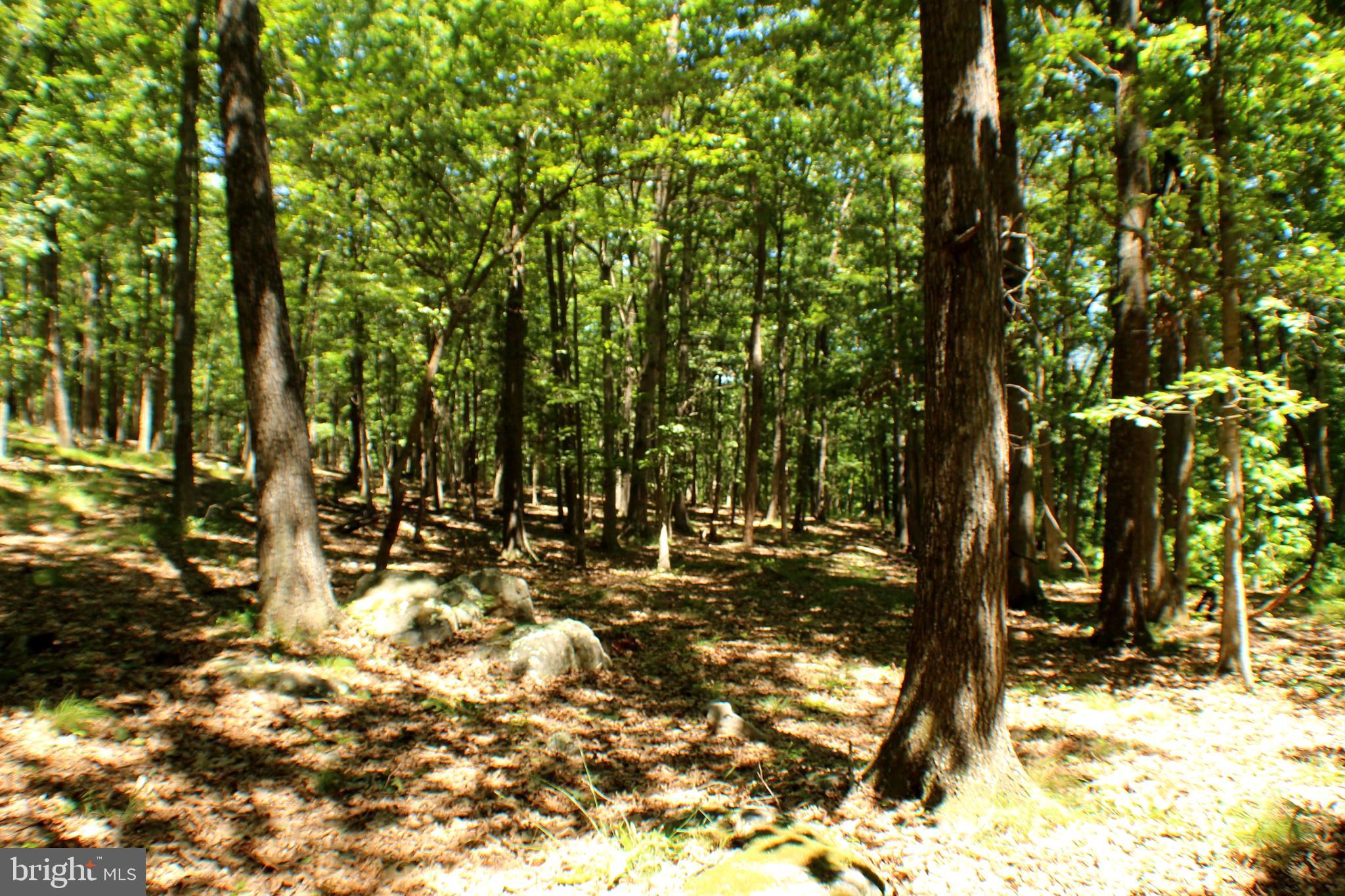 UNRESTRICTED LAND - Land