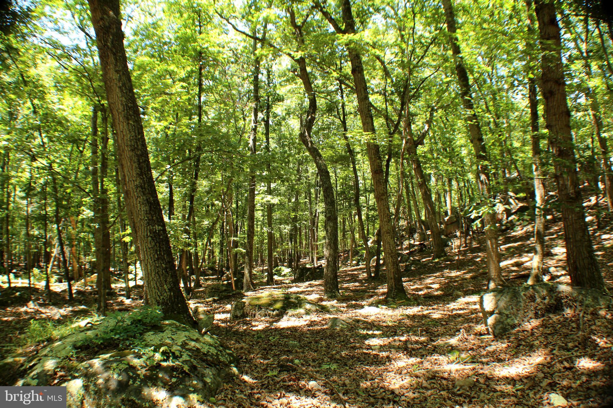 UNRESTRICTED LAND - Land