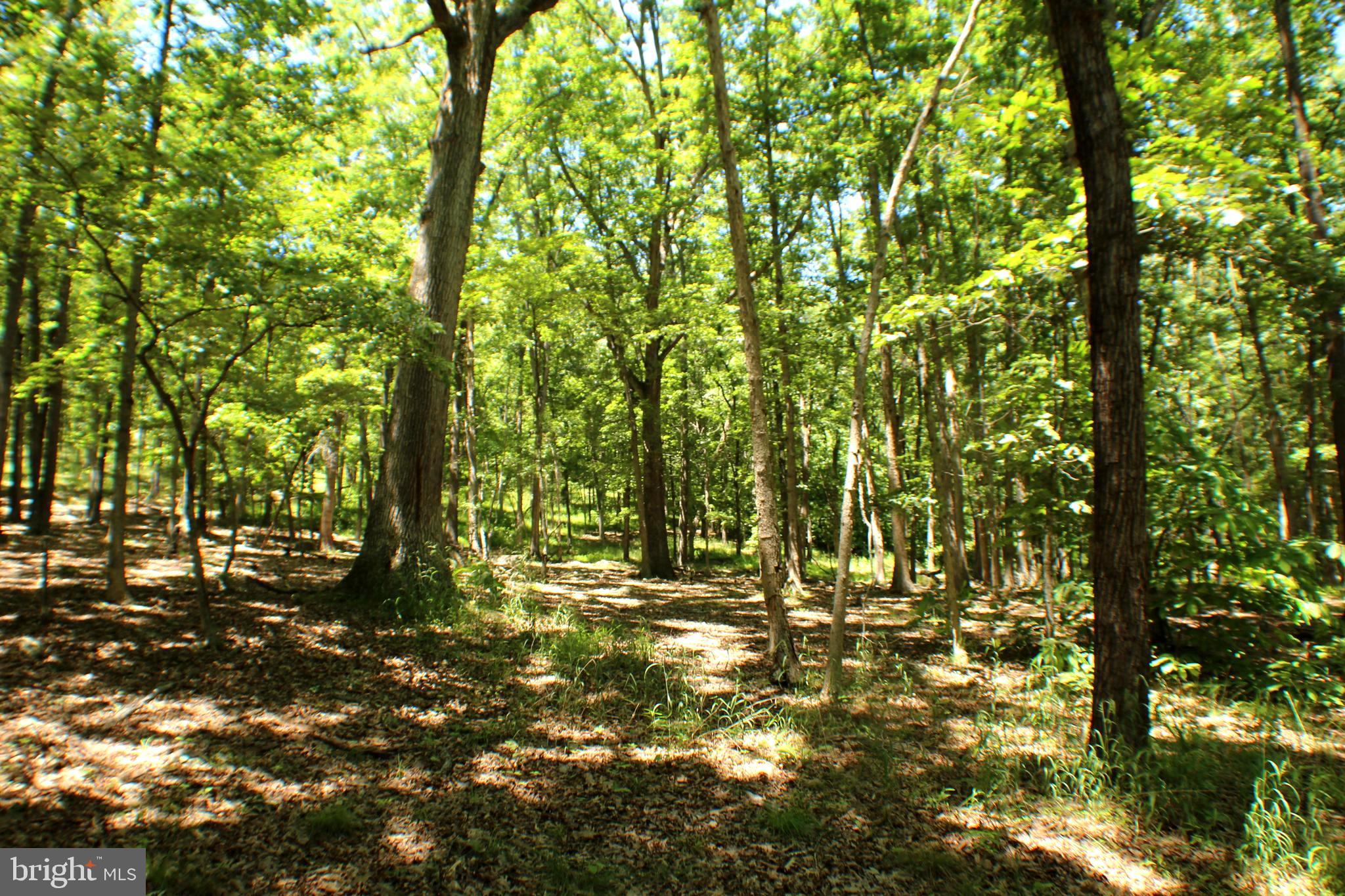 UNRESTRICTED LAND - Land