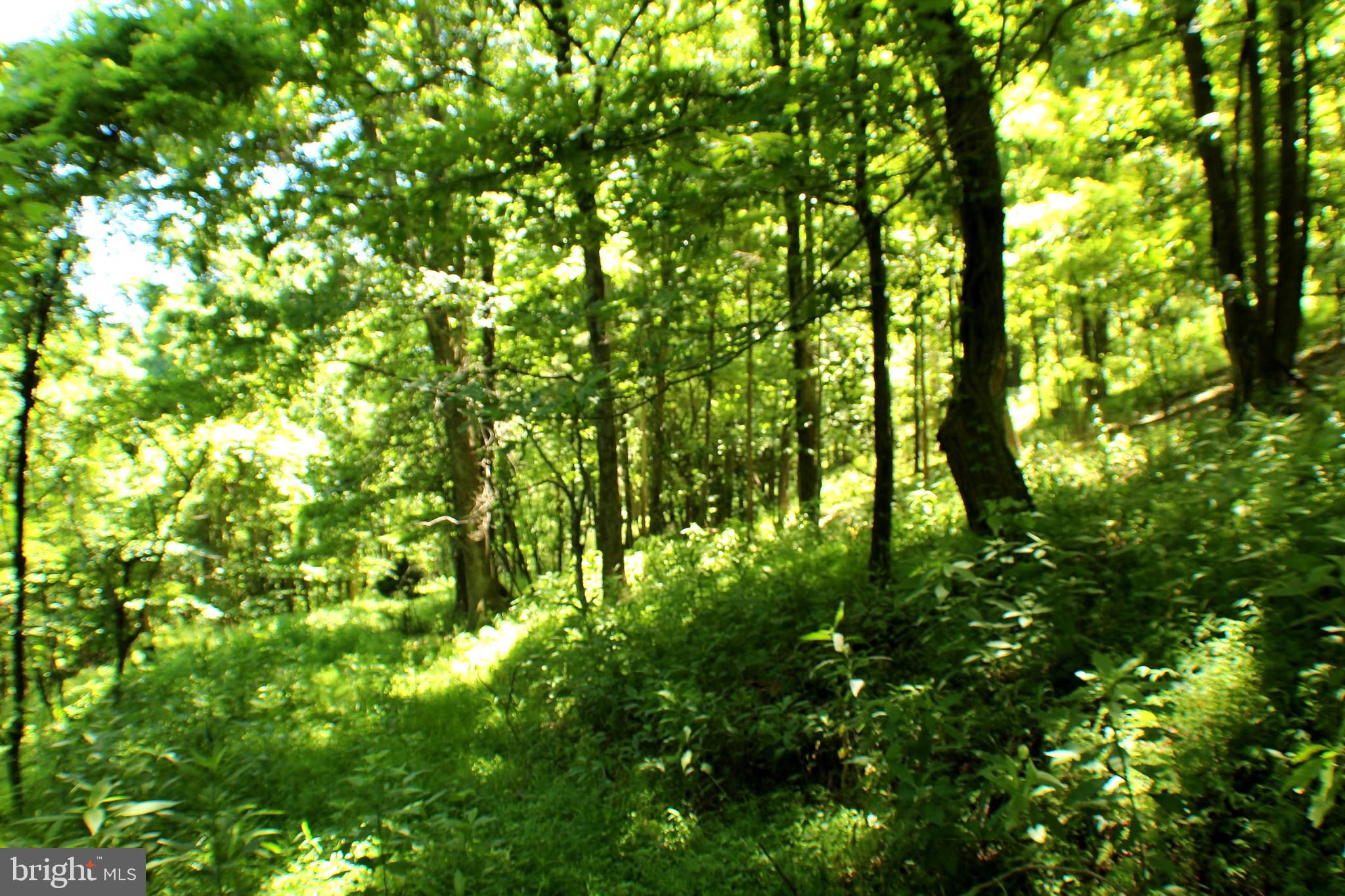 UNRESTRICTED LAND - Land