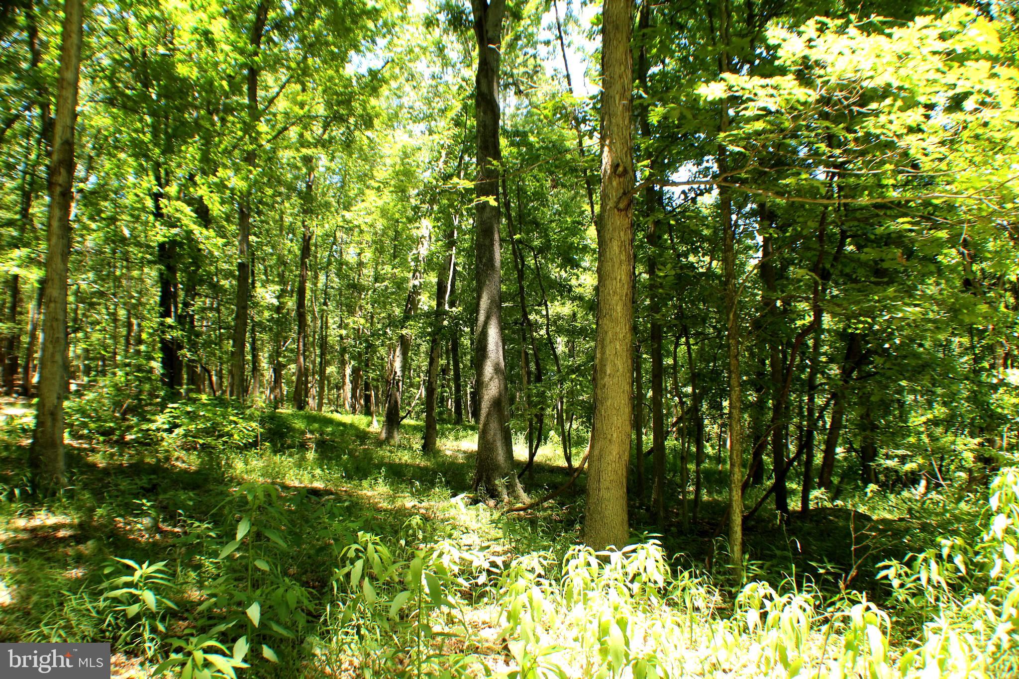 UNRESTRICTED LAND - Land