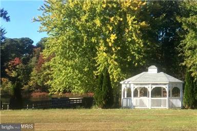 THE WOODS - Residential