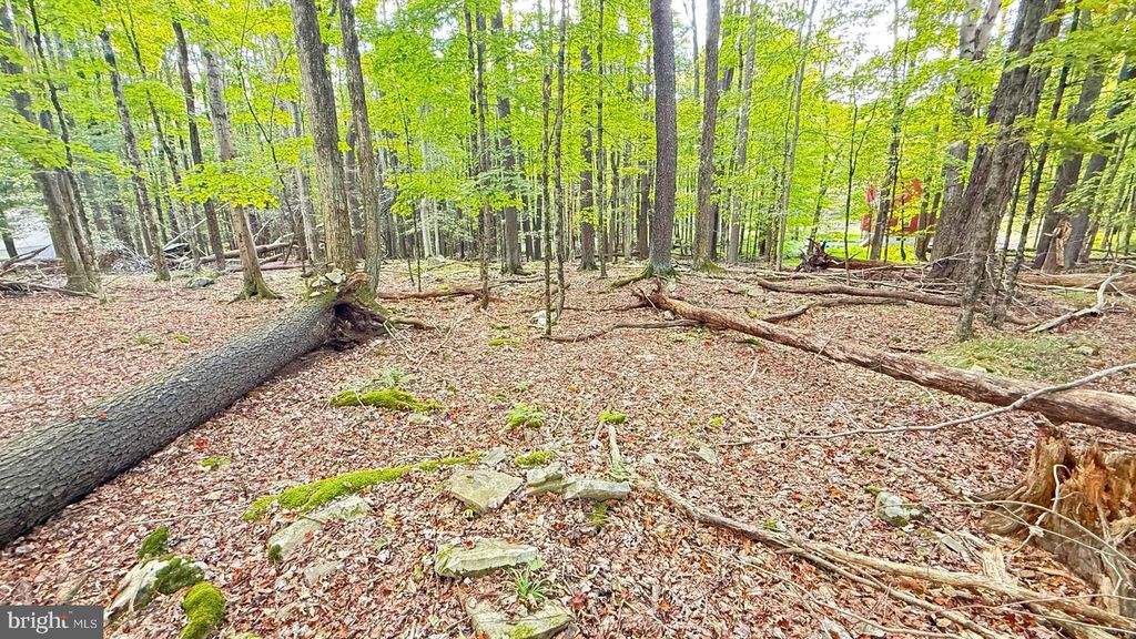 Photo of Lot 12 Andromeda Cir, LAKE ARIEL, PA 18436 (MLS # PAWN2000828)