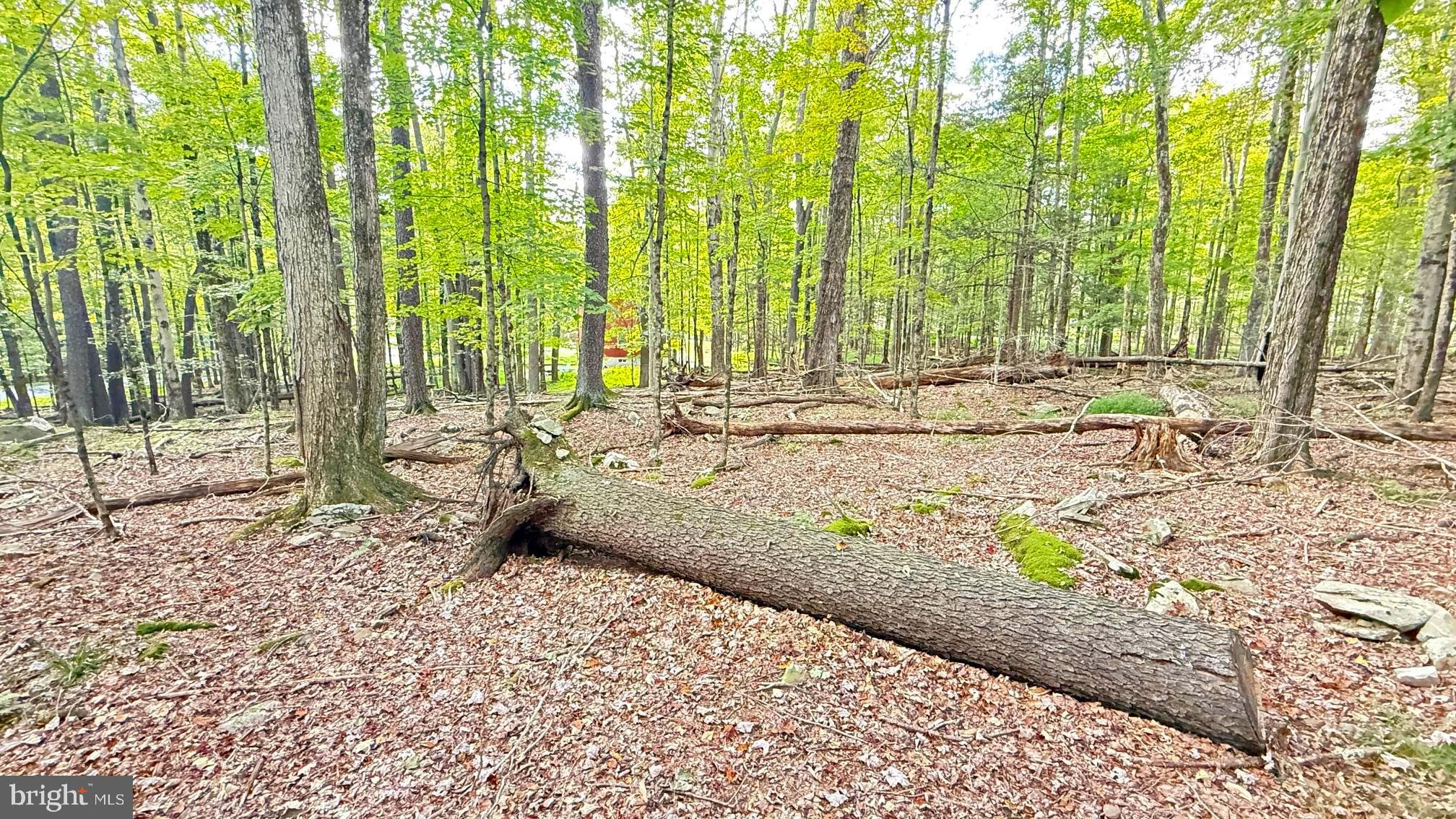 Lot 12 ANDROMEDA CIR