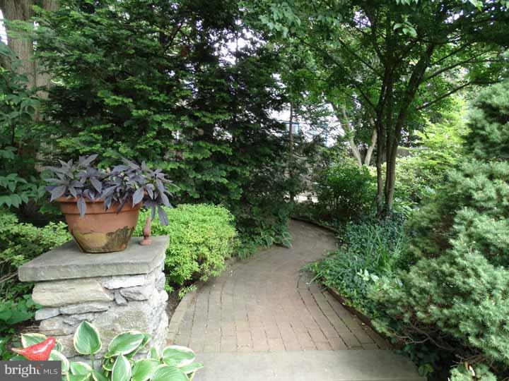 CHESTNUT HILL - Residential