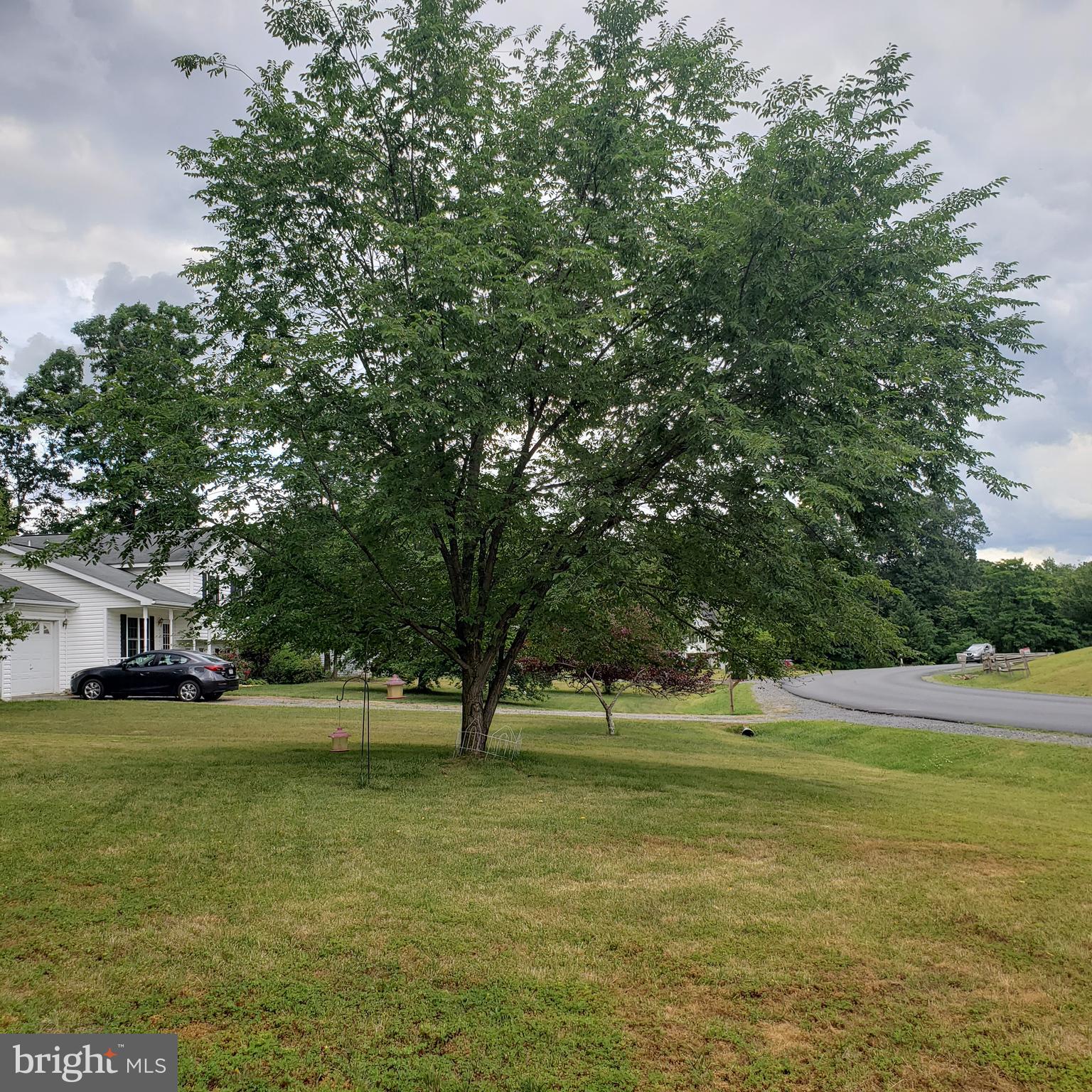 FOREST HEIGHTS - Residential