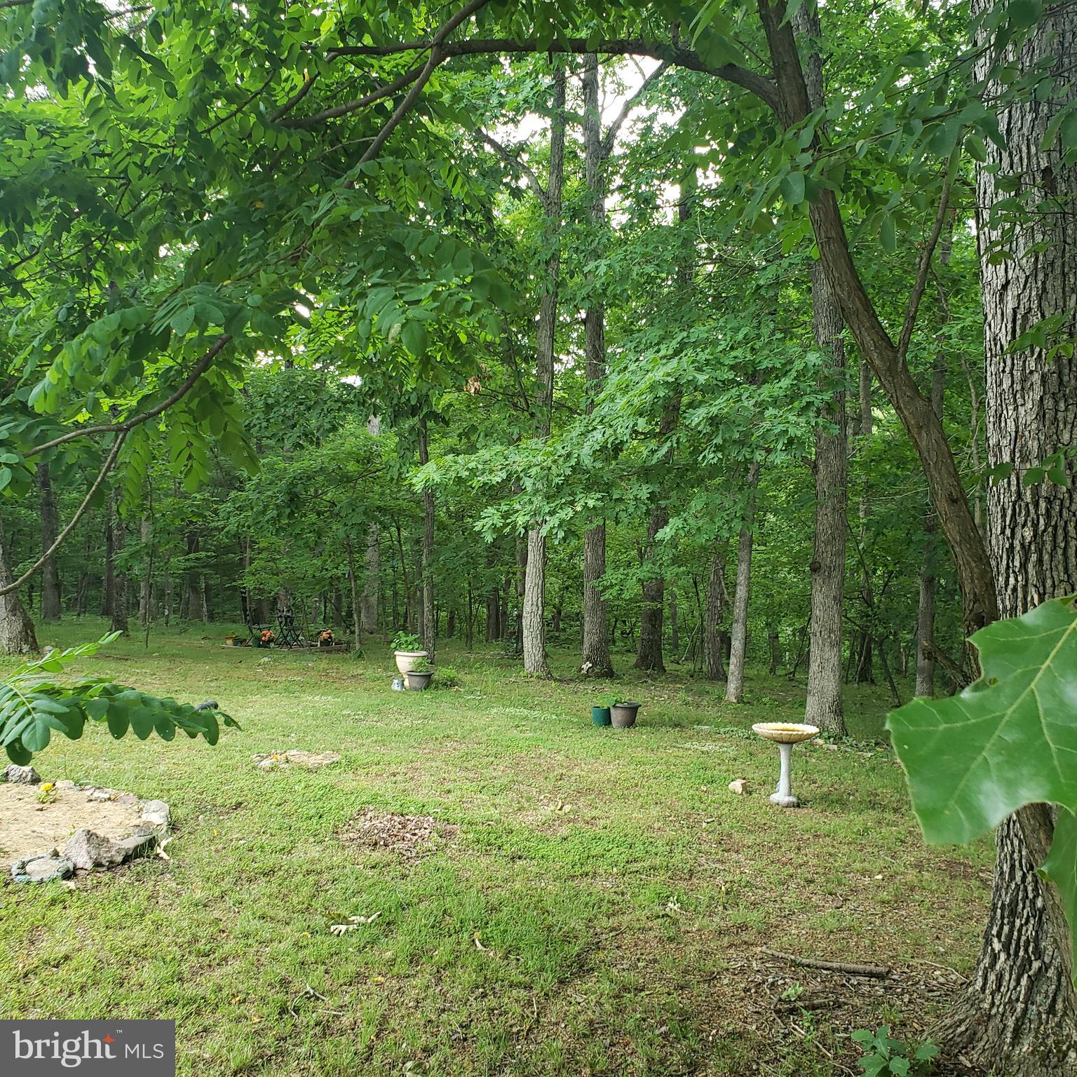 FOREST HEIGHTS - Residential