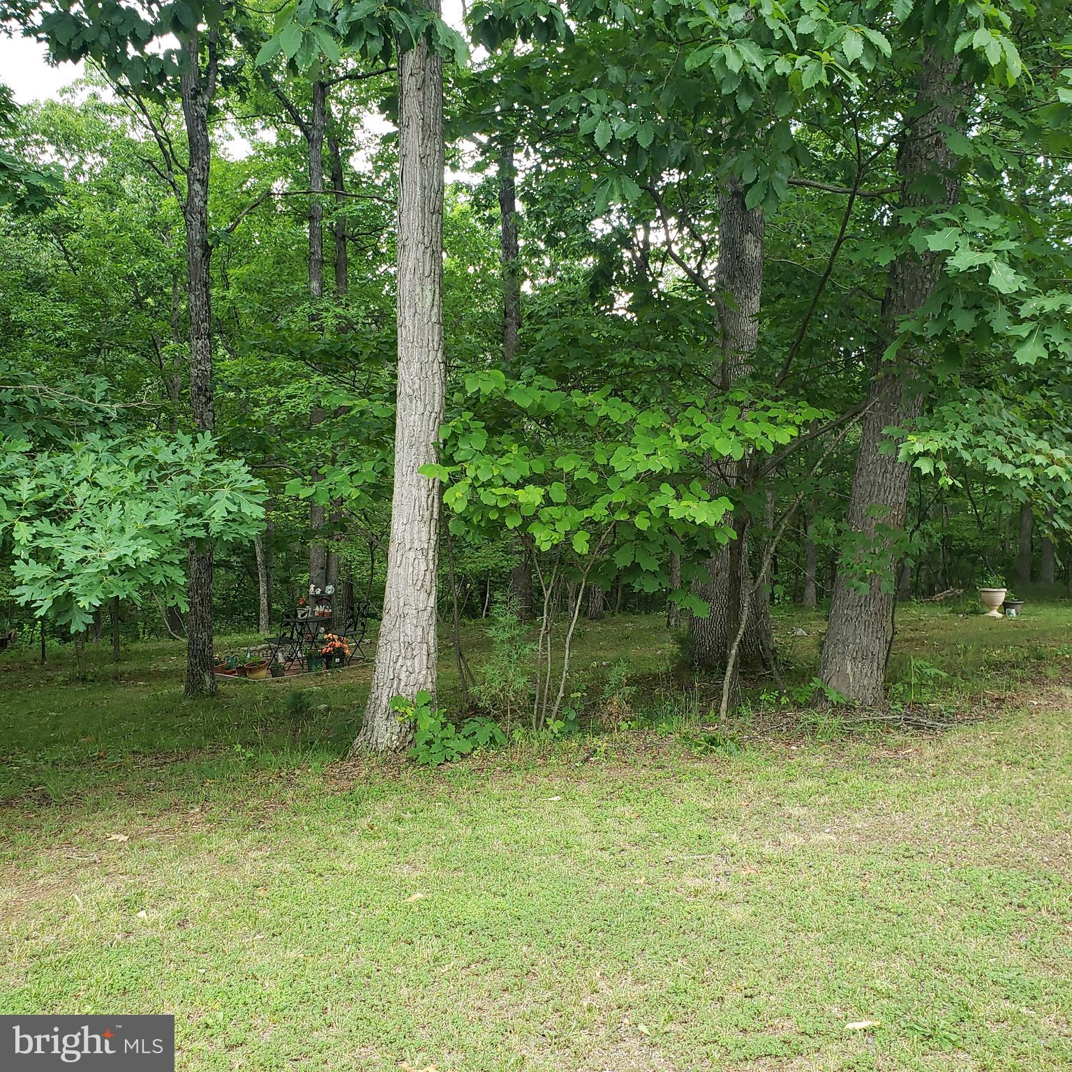 FOREST HEIGHTS - Residential