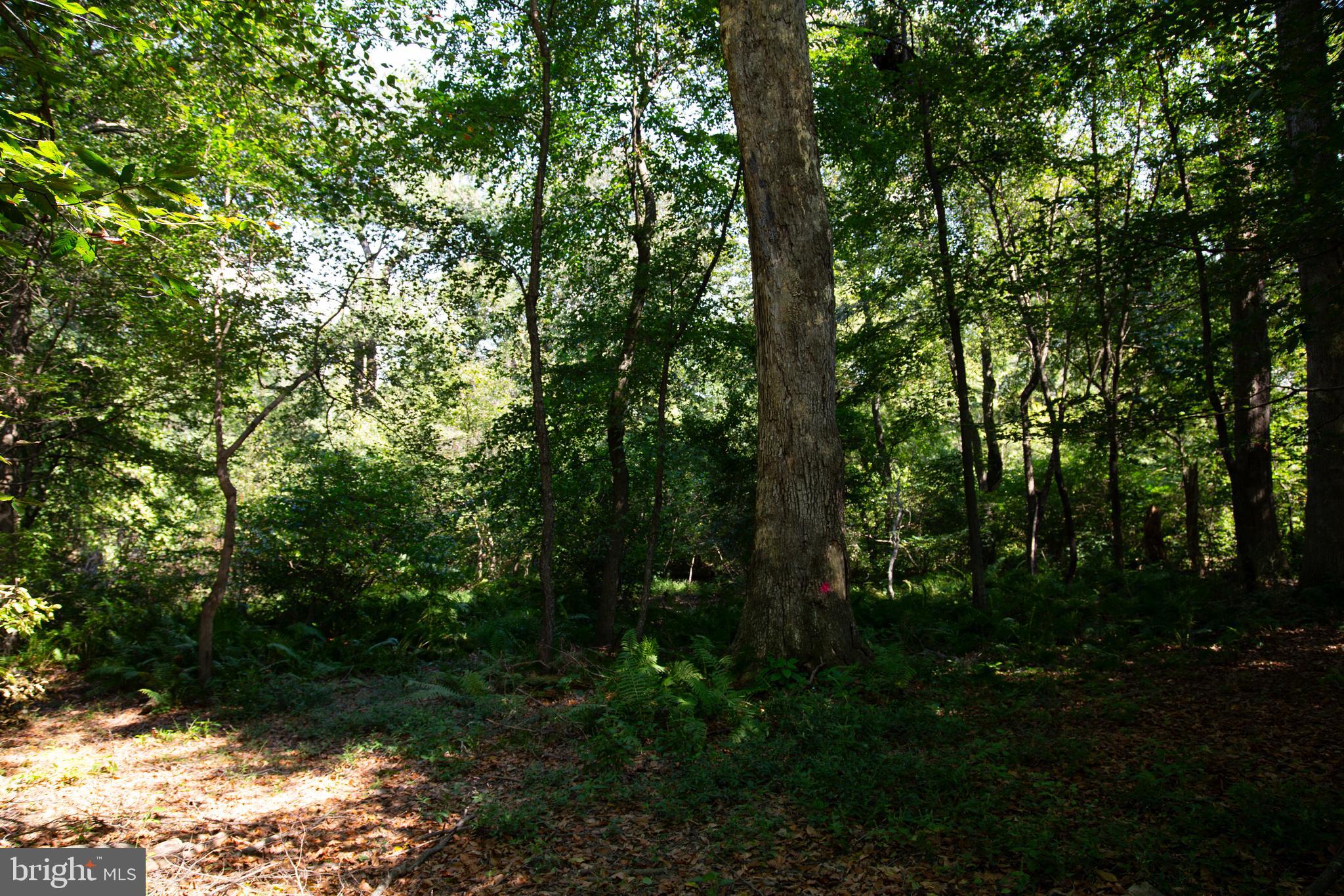 CONESTOGA TOWNSHIP - Residential