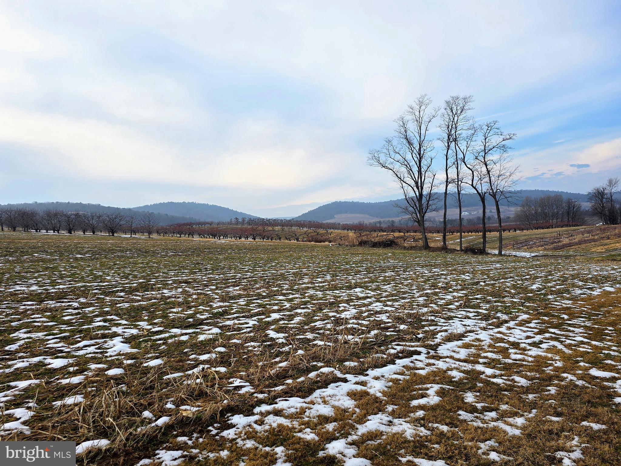 ARENDTSVILLE BOROUGH - Residential