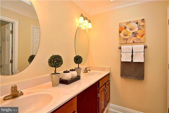 SOUTH RUN FOREST - Residential