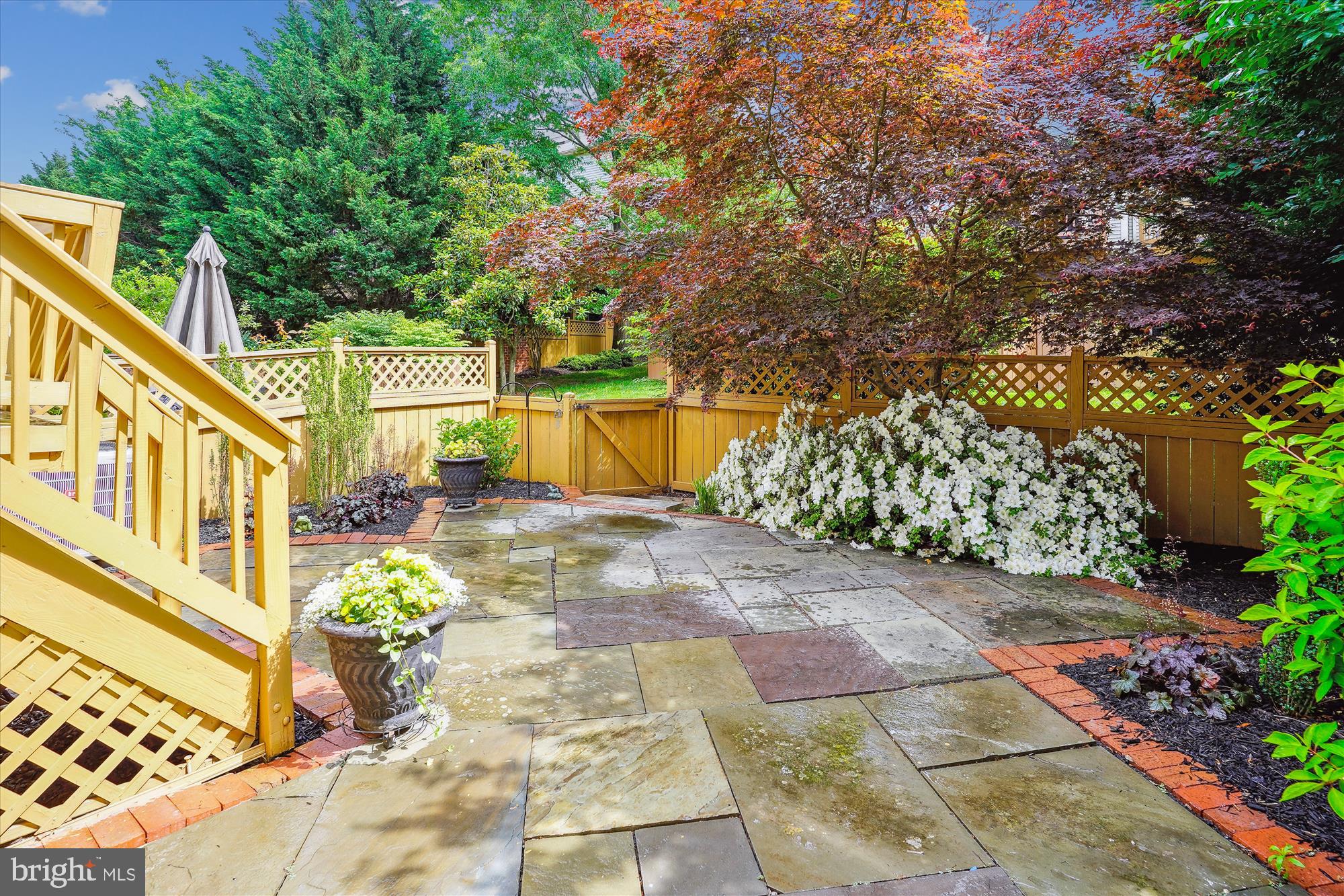 CRESTMONT TOWNHOUSES - Residential