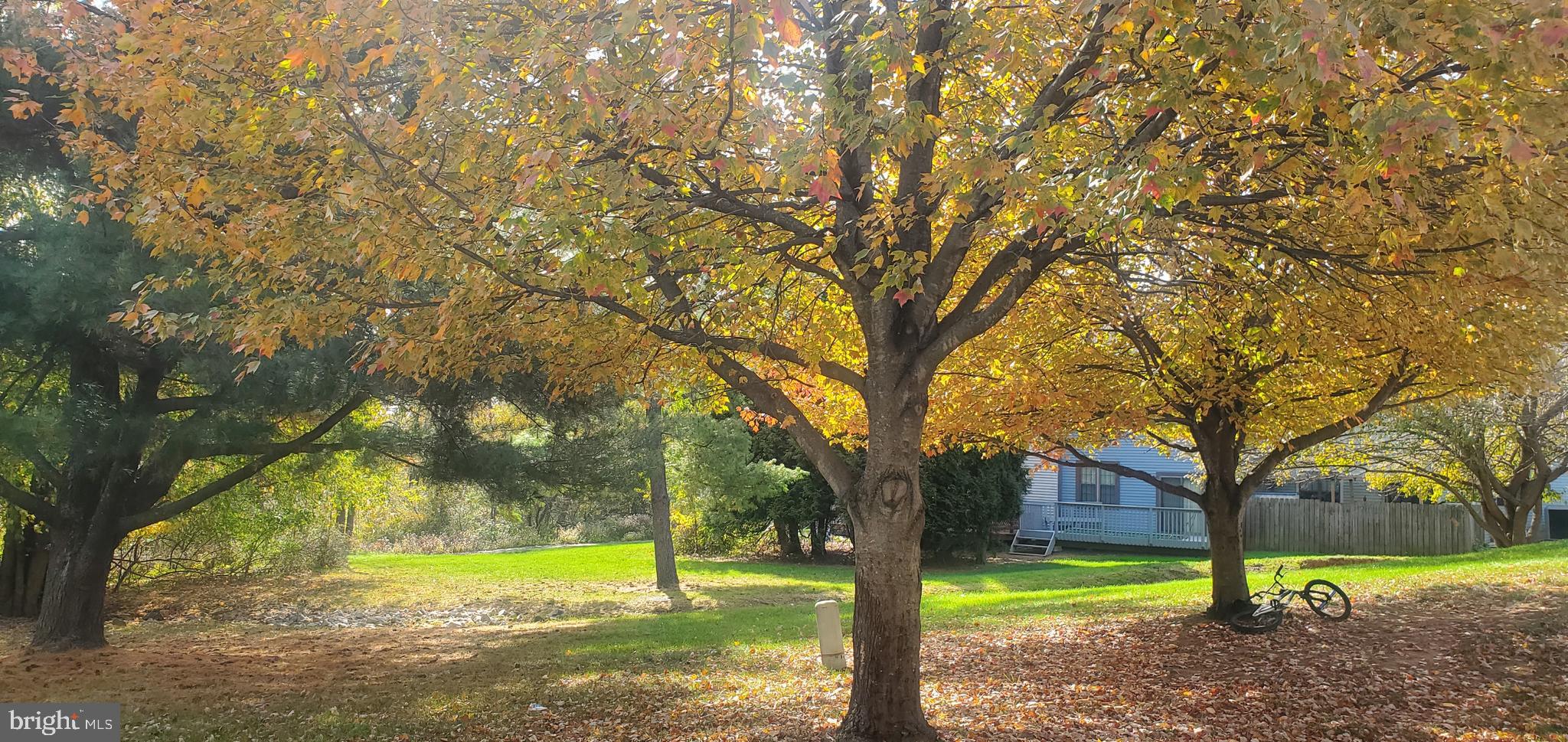 MONTGOMERY GLEN - Residential