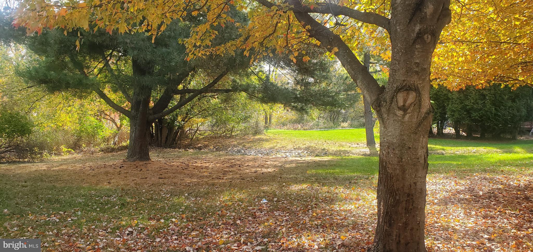 MONTGOMERY GLEN - Residential