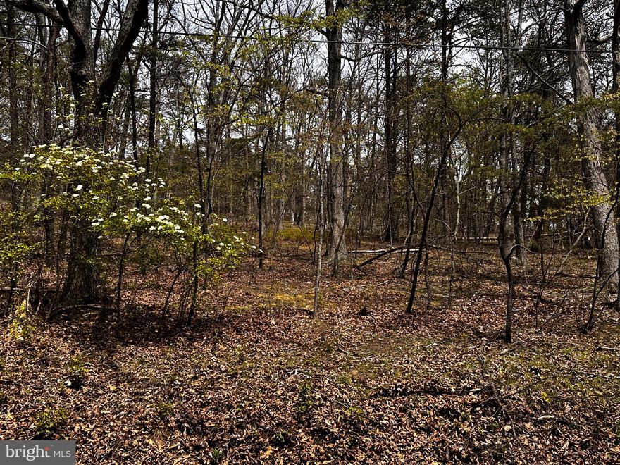 4.041 Acres in Sugar Run S. Div. Fully Wooded.  Fronts on Co. Maint. Road. Sensible Prot. Covenants. Hardcap Well Maint. Gravel Access Roads thru-out. Very private setting, yet only 5 mins to the town of Romney or the Potomac River. 1.5 Hr drive to D.C.