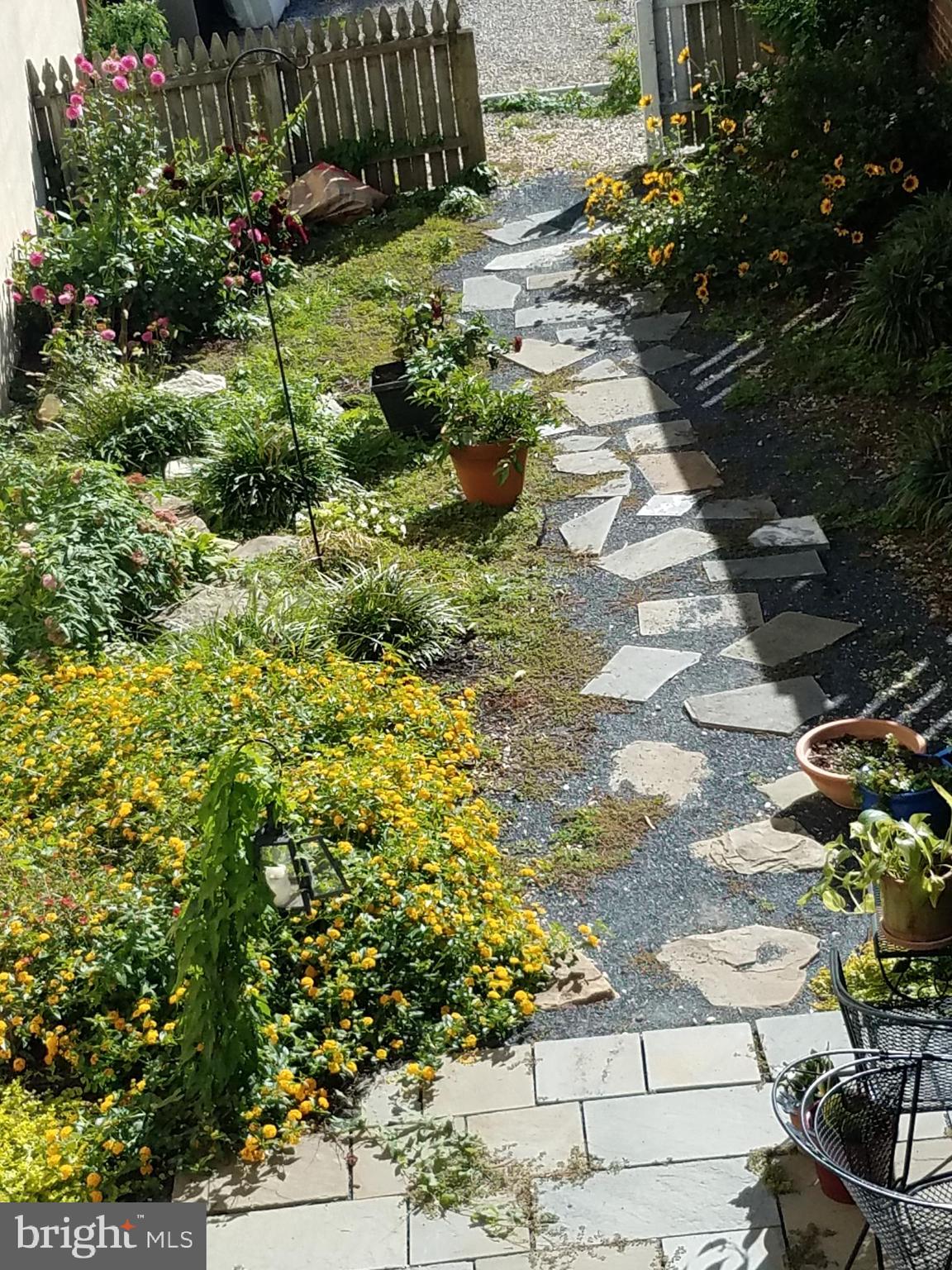 OLD TOWN - Residential Lease