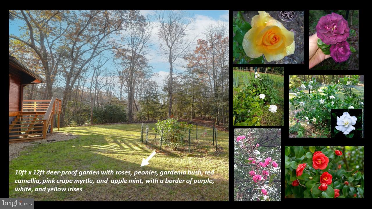 ST MARYS RIVER ESTATES - Residential