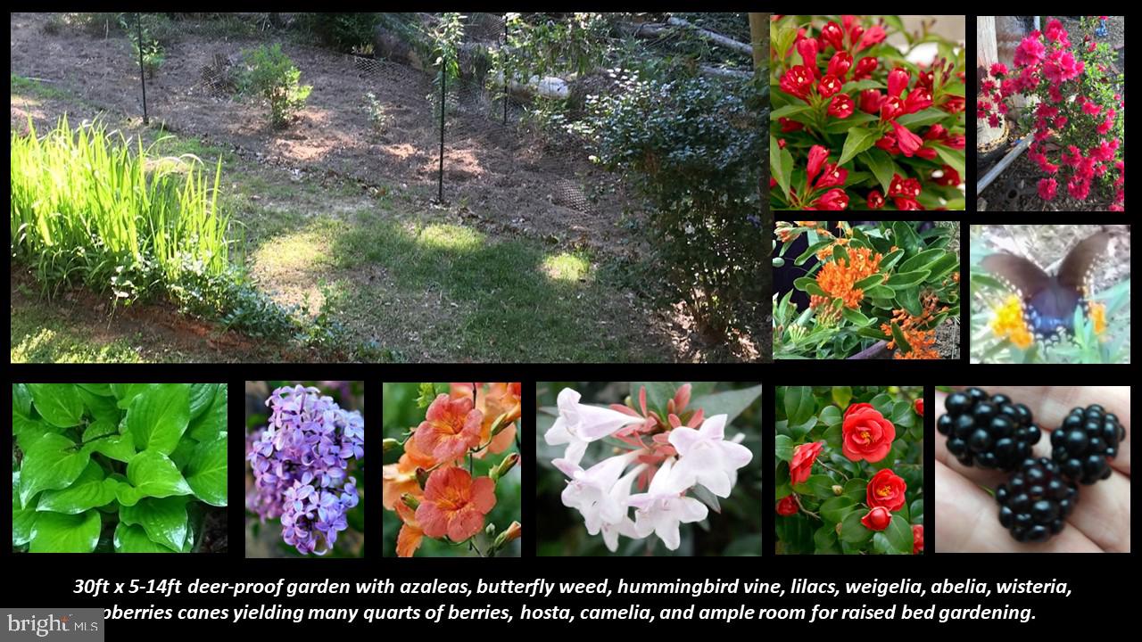 ST MARYS RIVER ESTATES - Residential