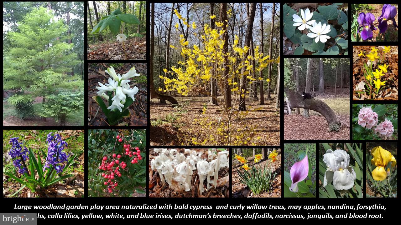 ST MARYS RIVER ESTATES - Residential