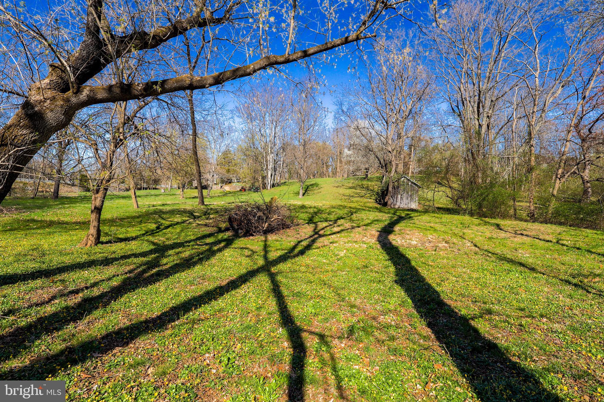 37275 CHARLES TOWN PIKE