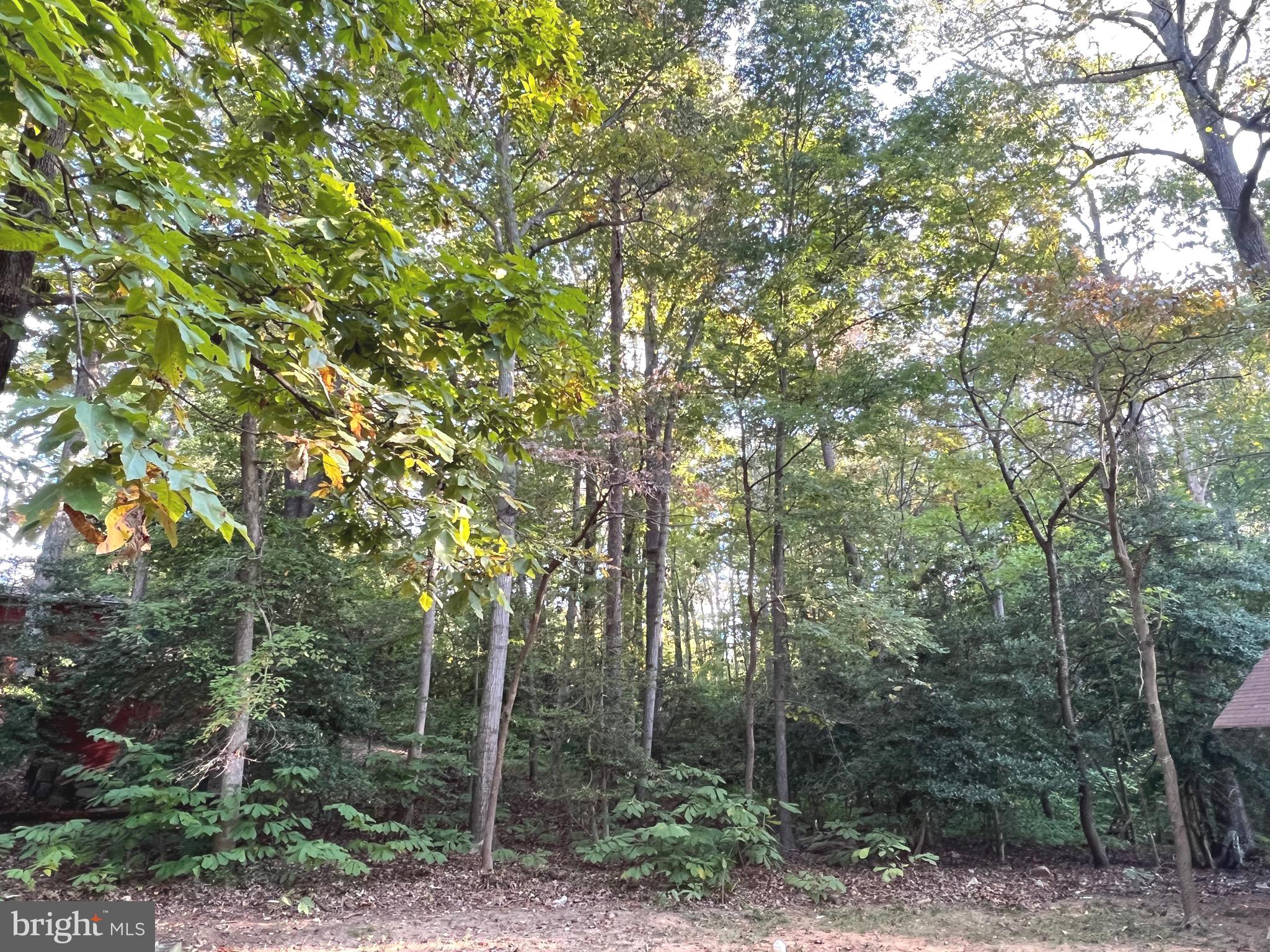 CHESAPEAKE RANCH ESTATES - Residential