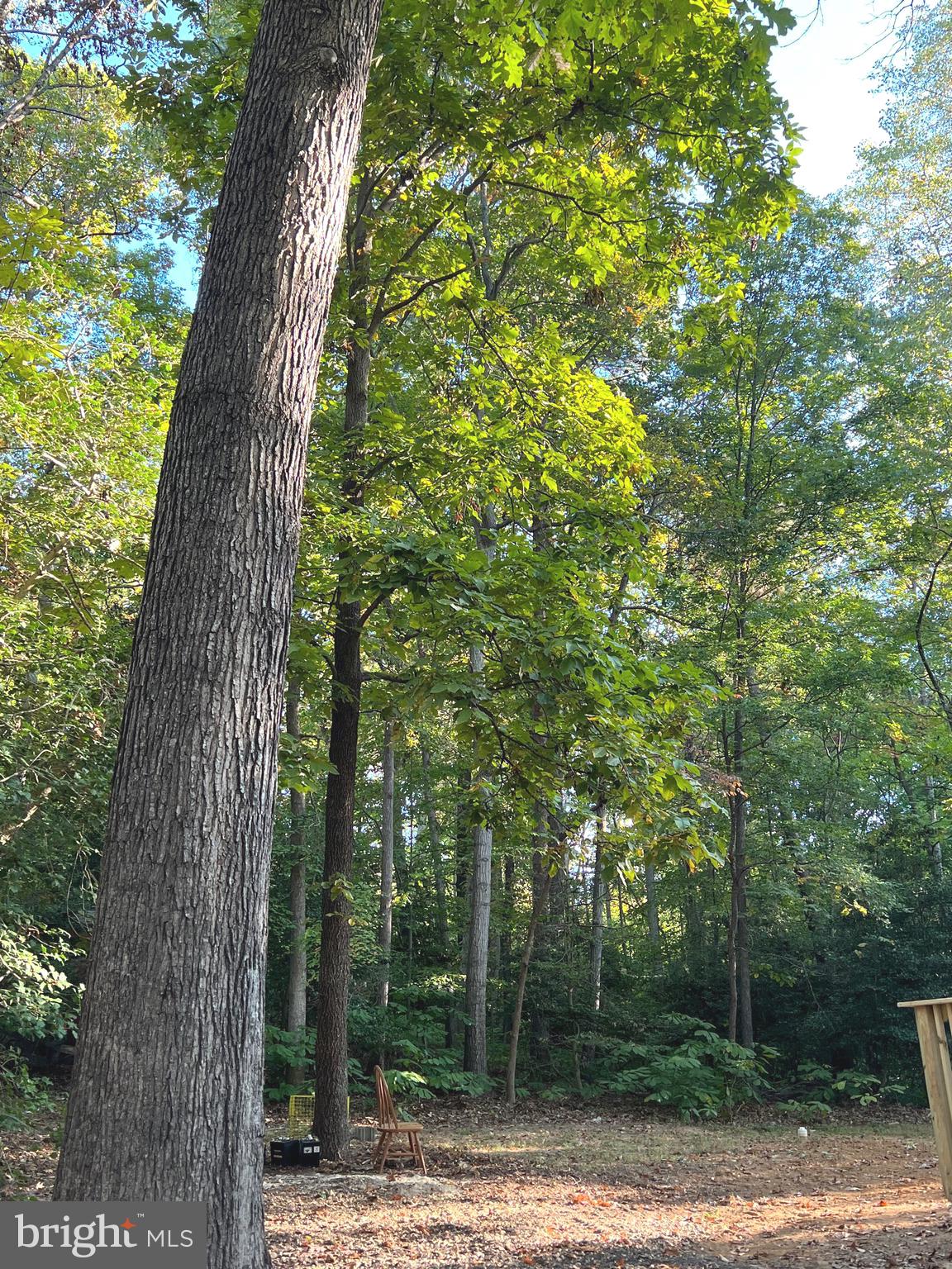 CHESAPEAKE RANCH ESTATES - Residential