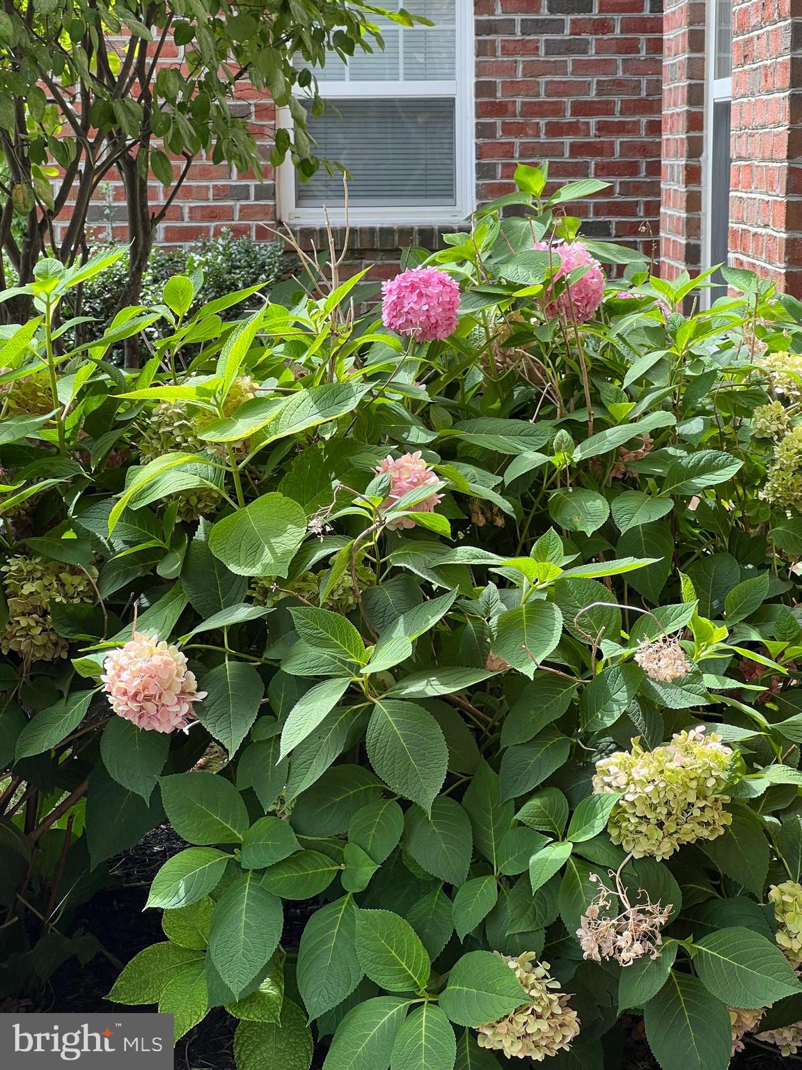 RED BROOK HOMES - Residential