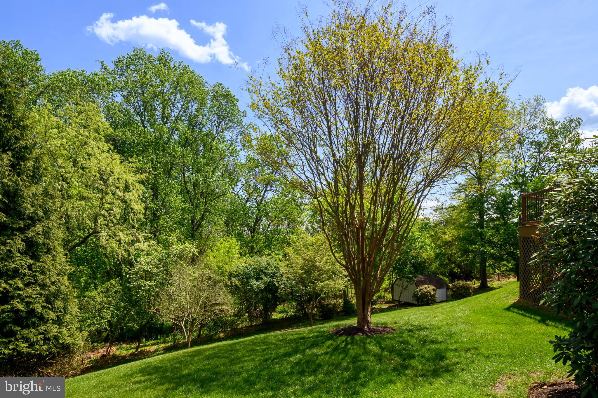 FONT HILL - Residential