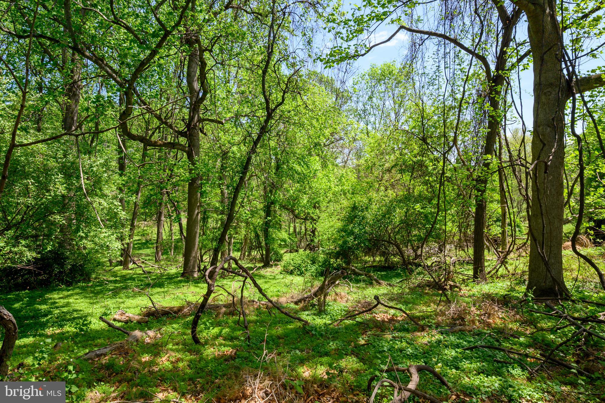 FONT HILL - Residential