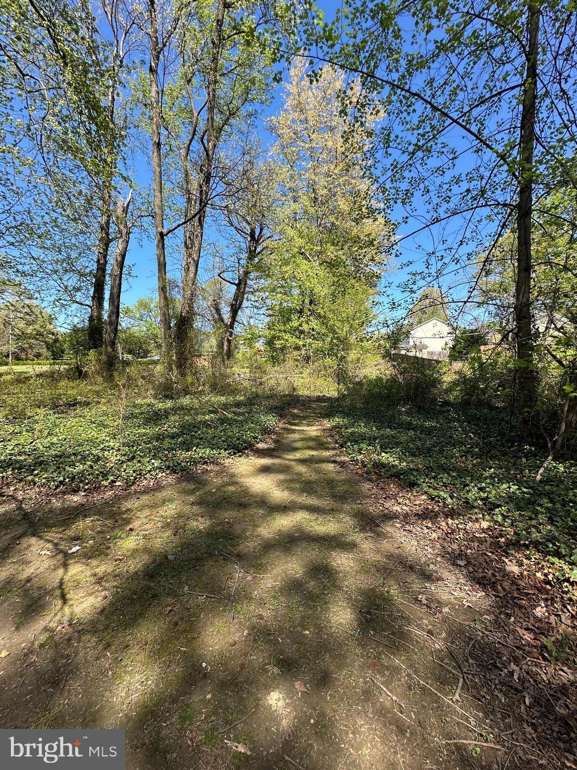 2419 BEACON HILL ROAD