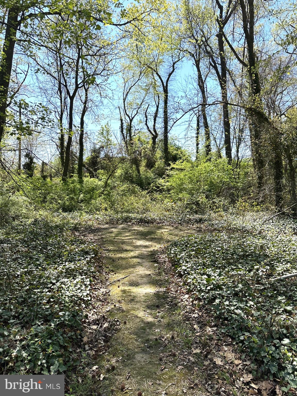 2419 BEACON HILL ROAD