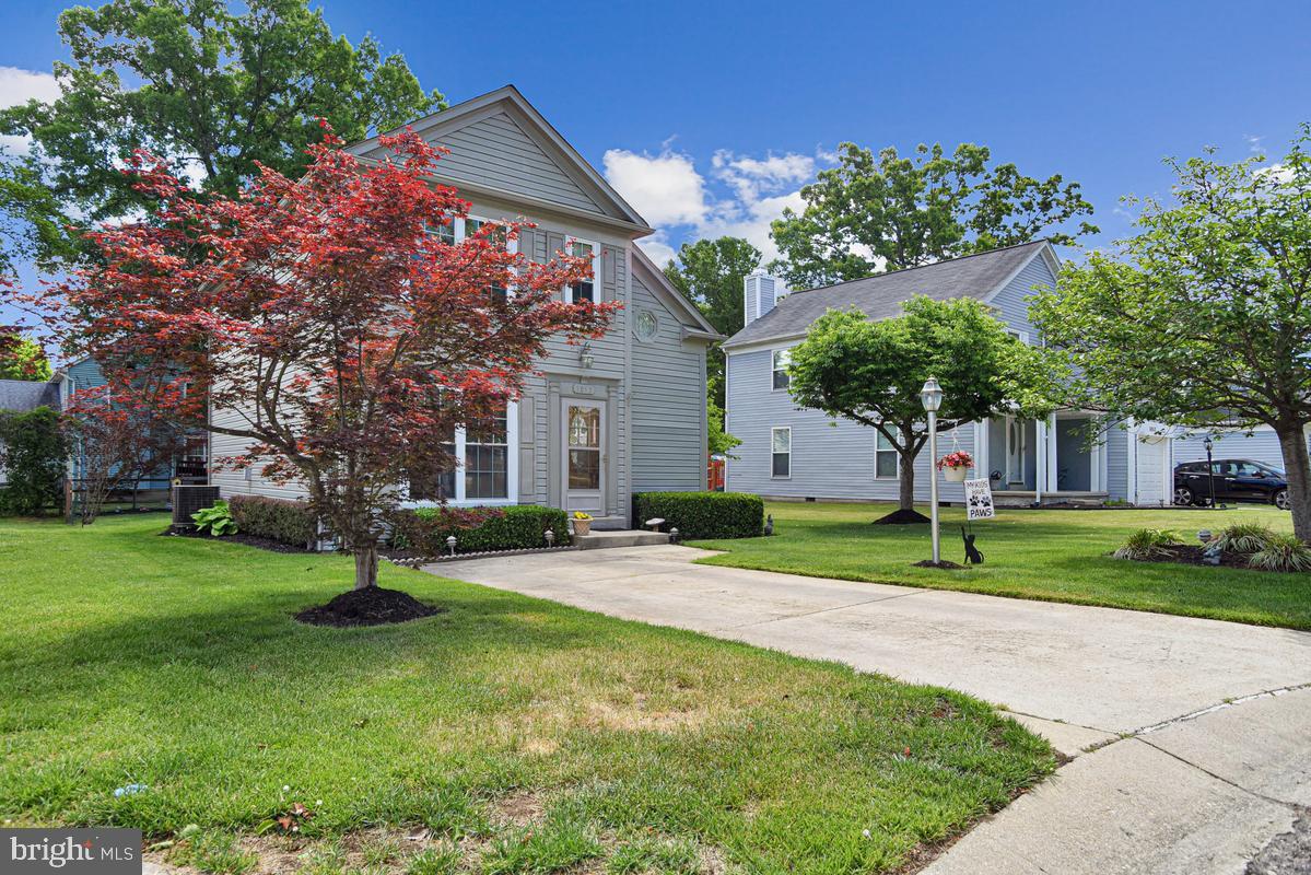 5052 BIGEYE COURT