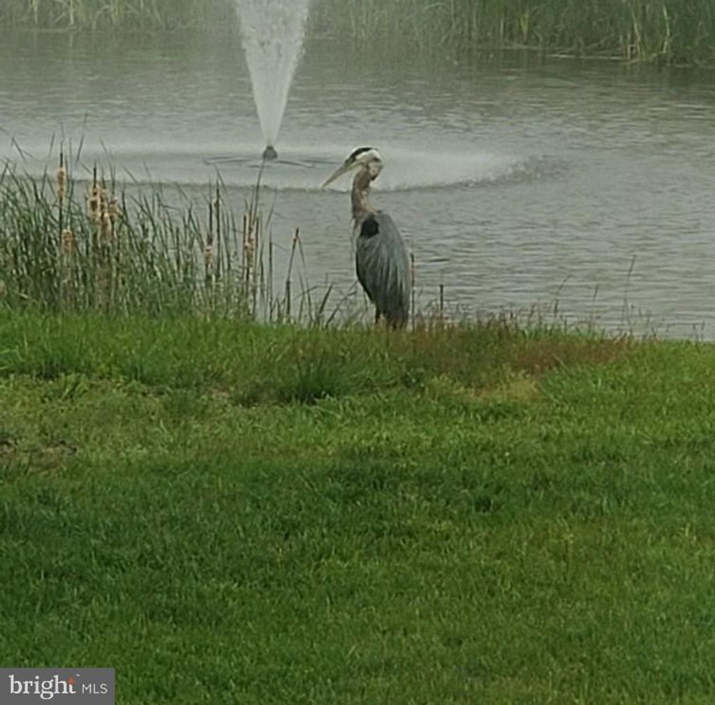 Photo of 38667 Bright Ocean Way, SELBYVILLE, DE 19975 (MLS # DESU2102764)