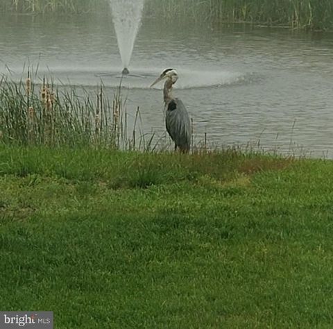 38667 BRIGHT OCEAN WAY SELBYVILLE DE 19975