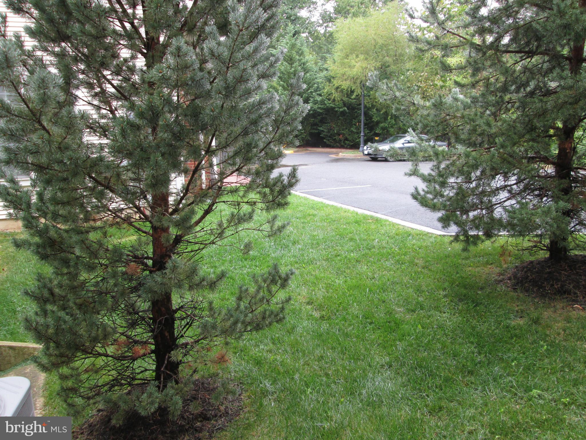 LORTON STATION NORTH CND - Residential