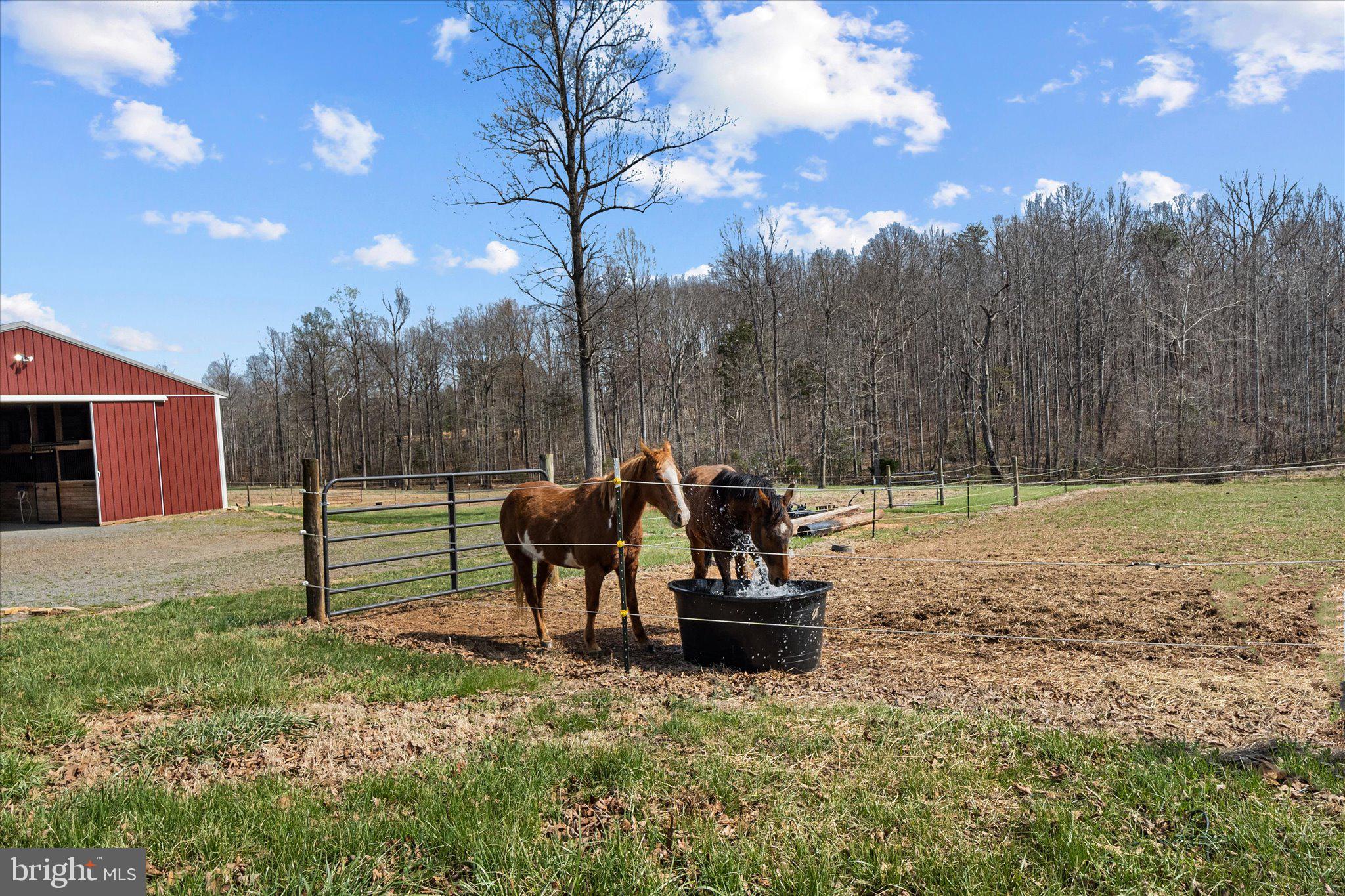 FISHER TRACT - Residential