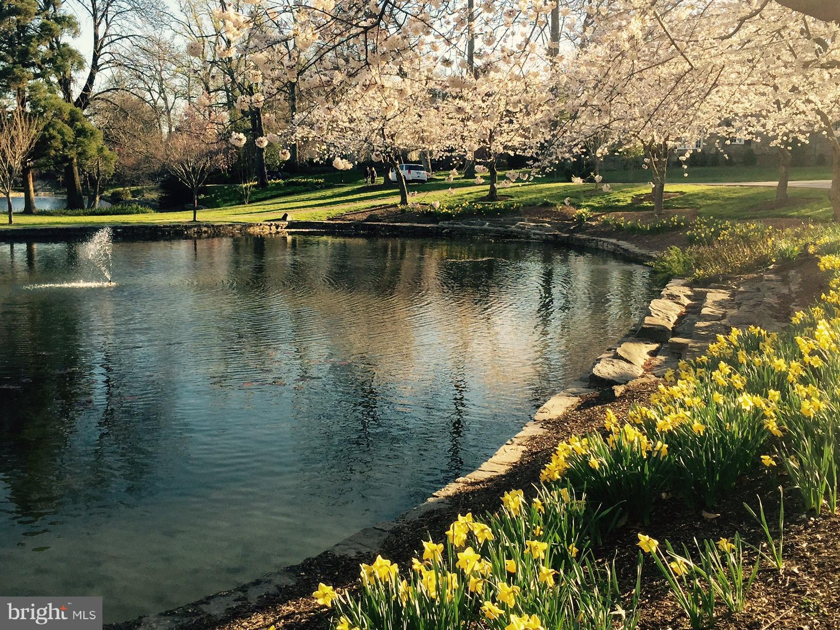 GREATER HOMELAND HISTORIC DISTRICT - Residential