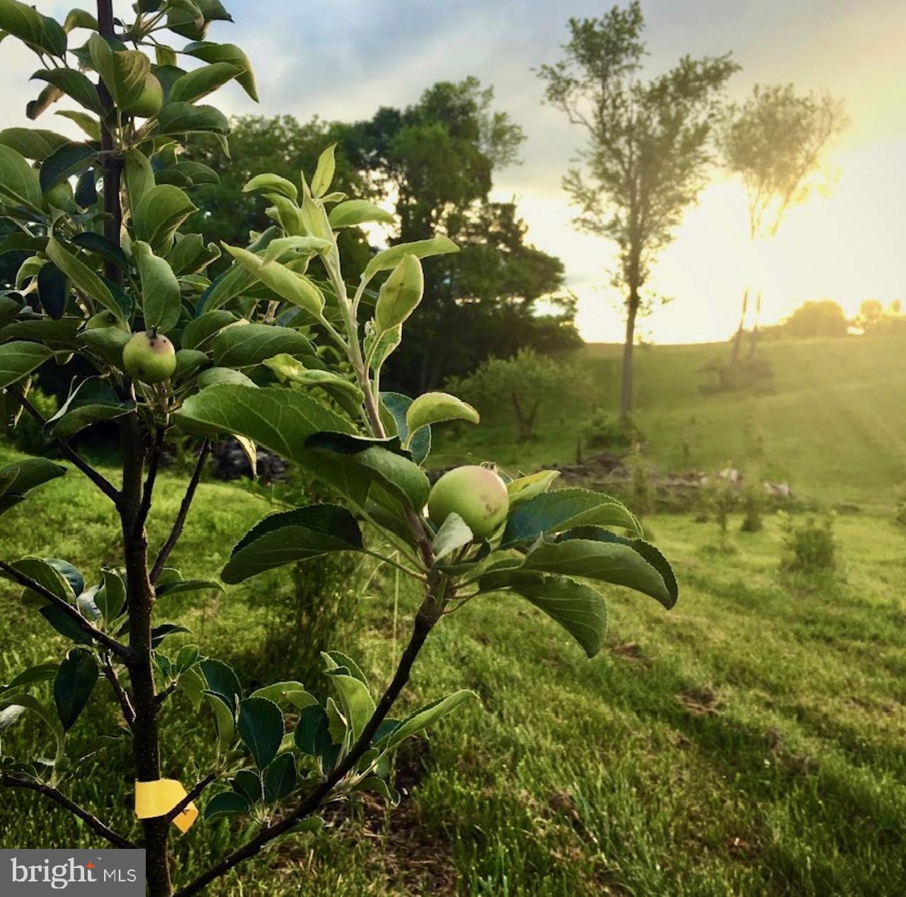 LAYTONSVILLE OUTSIDE - Residential