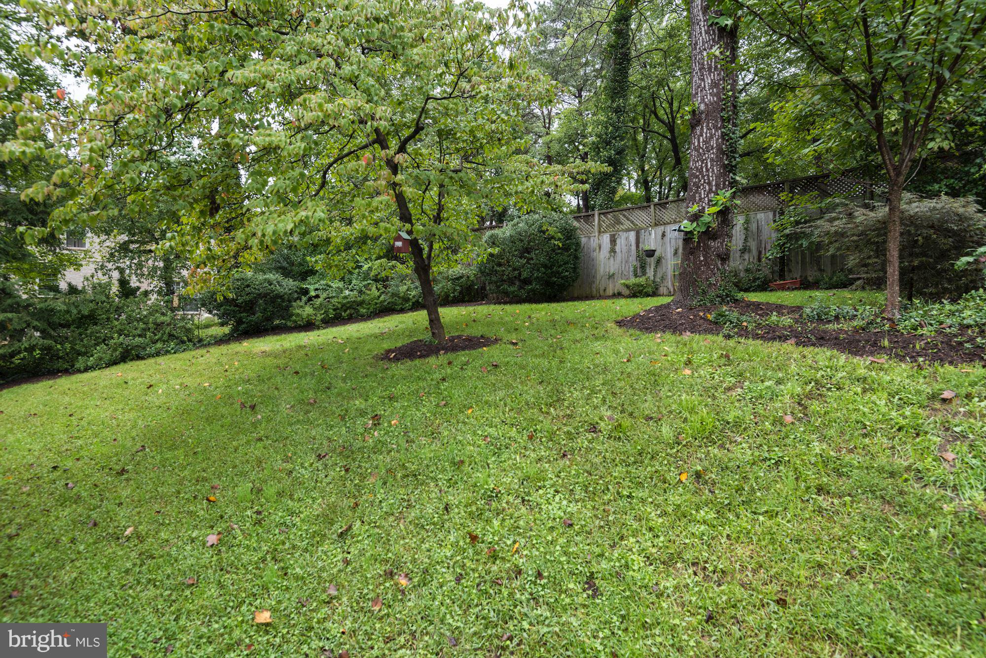 RAMBLEWOOD - Residential