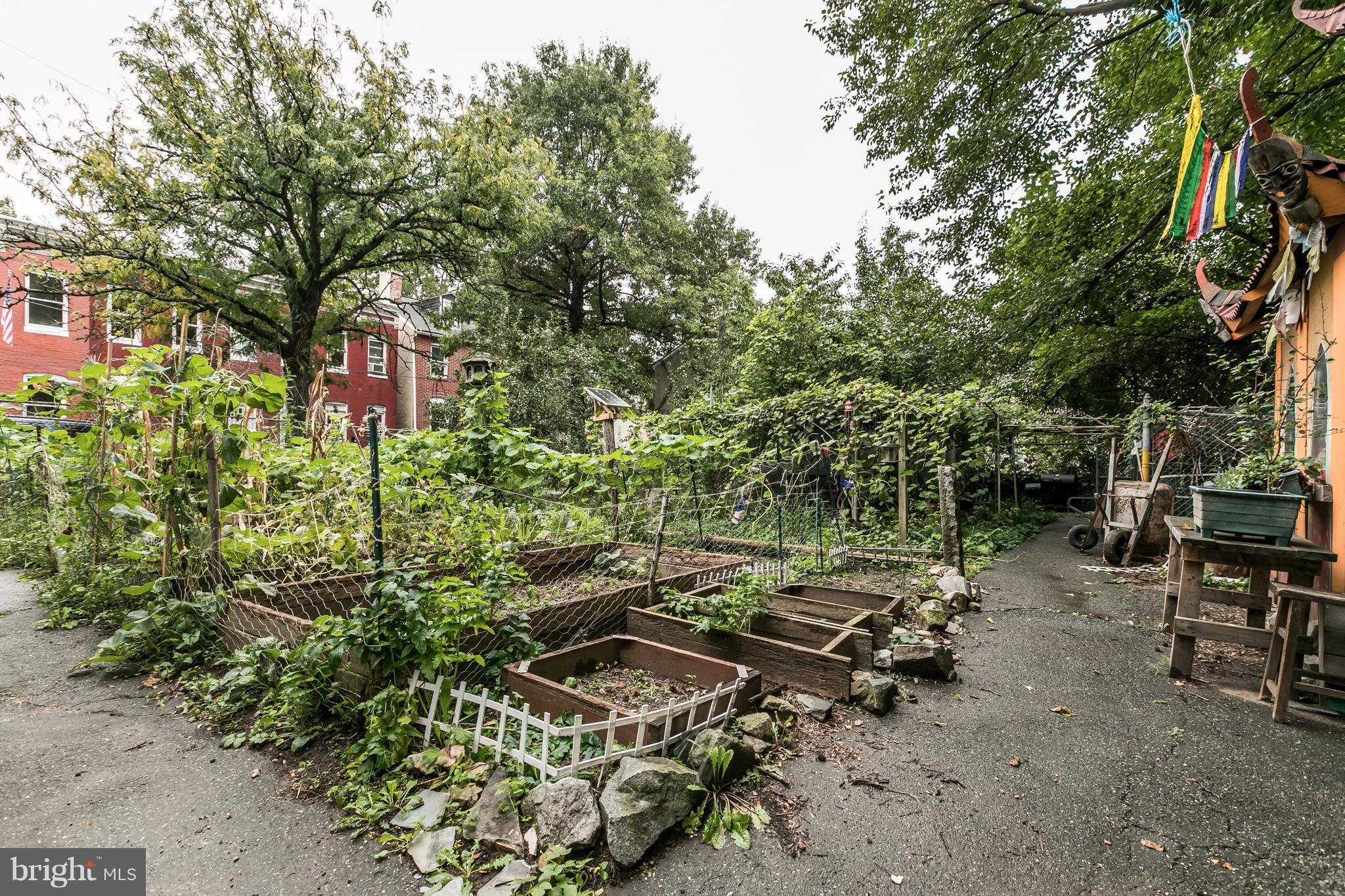 HOLLINS MARKET - Residential