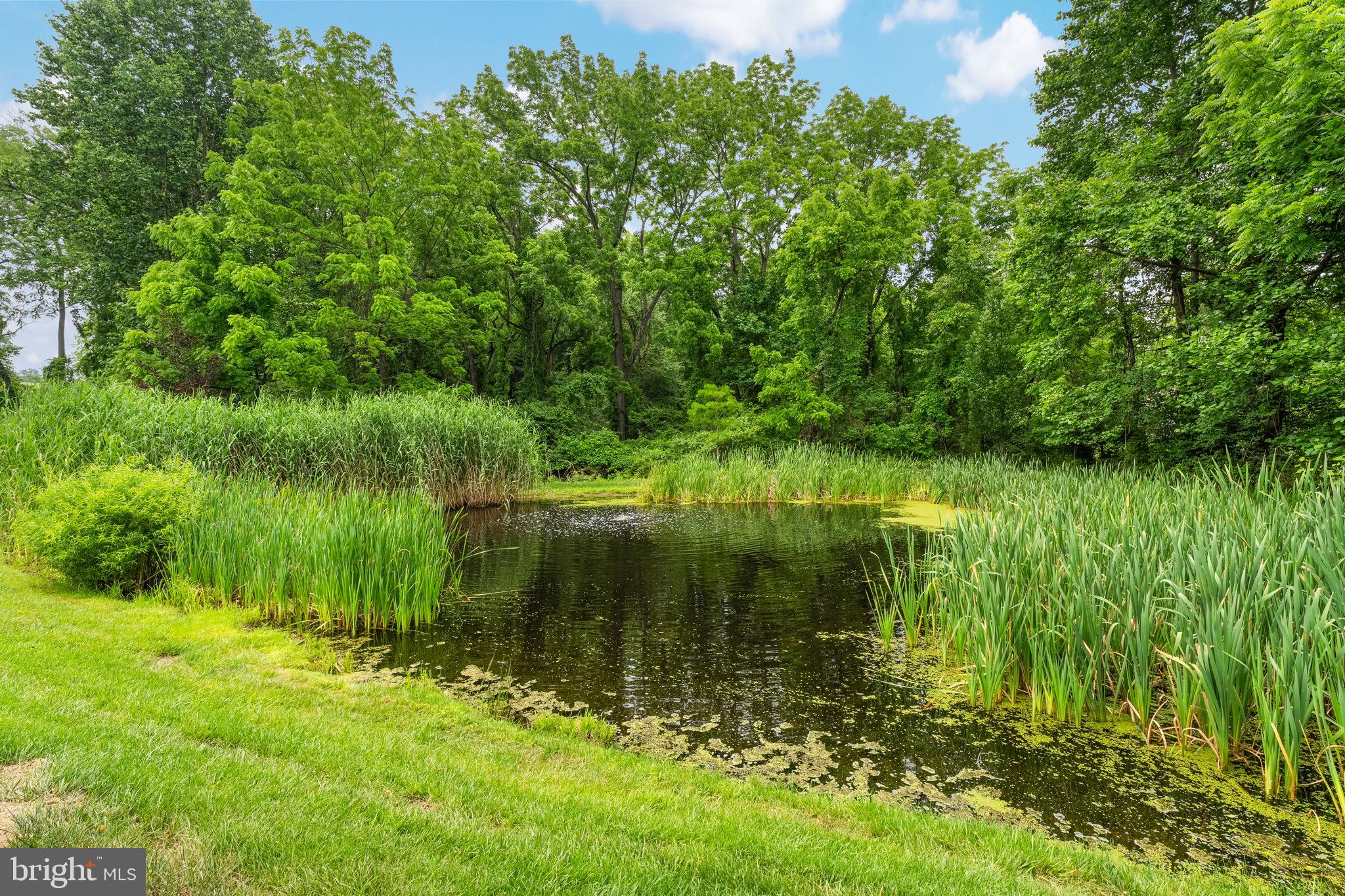 HARTEFELD - Residential