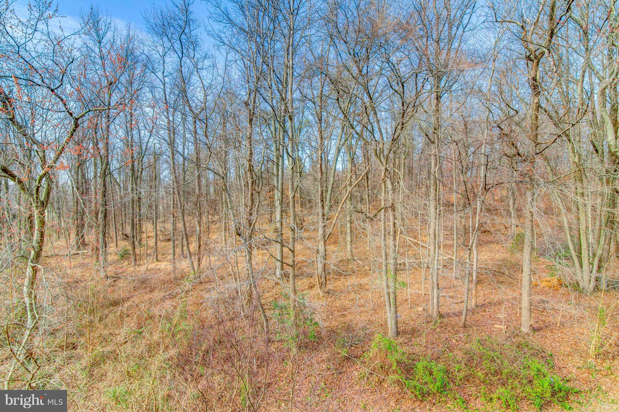 DEER RUN CROSSING - Residential