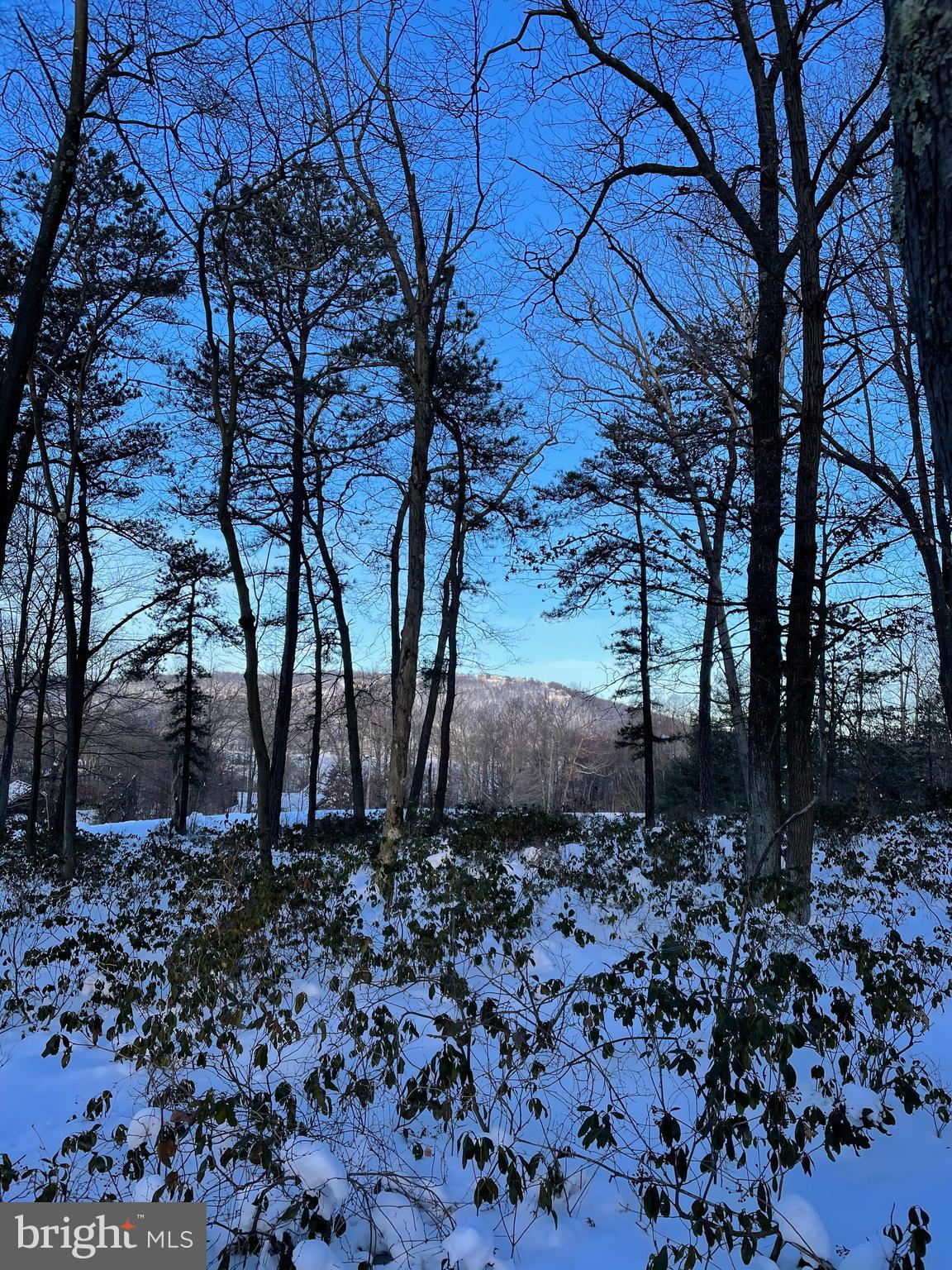 PINNACLE - Residential