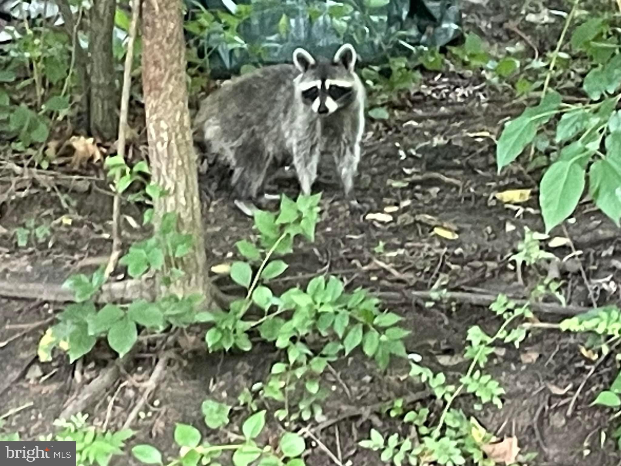 WILDWOOD BEACH - Residential