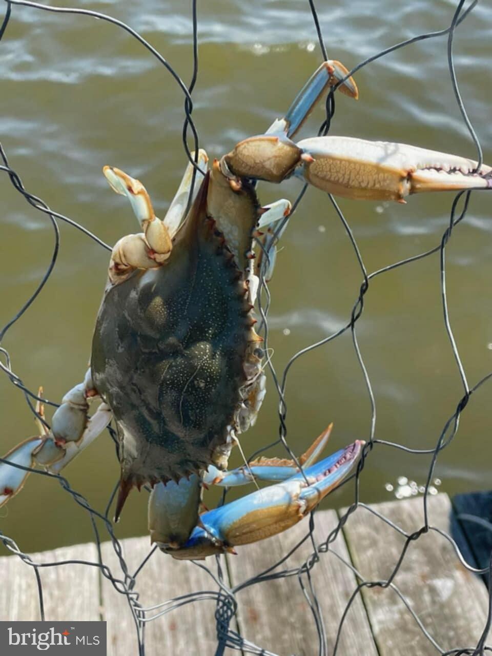 WILDWOOD BEACH - Residential