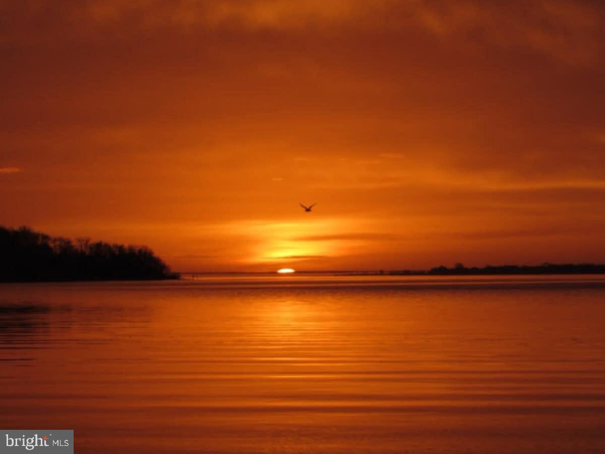 WILDWOOD BEACH - Residential