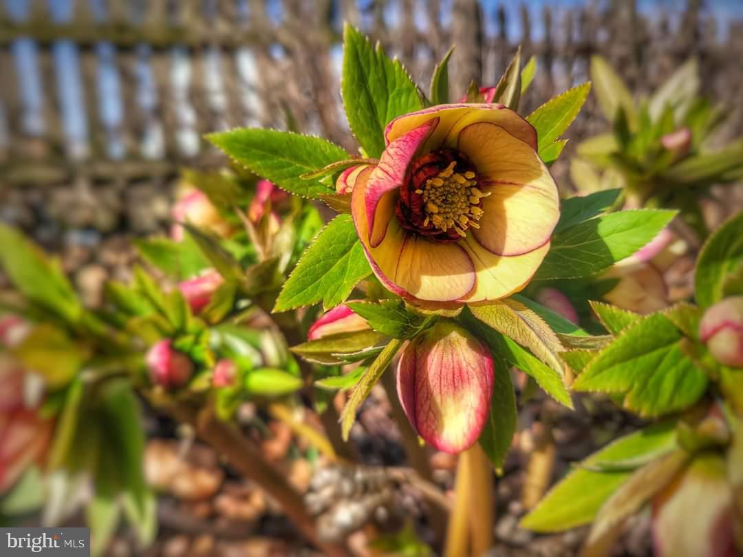 ST THOMAS - Residential