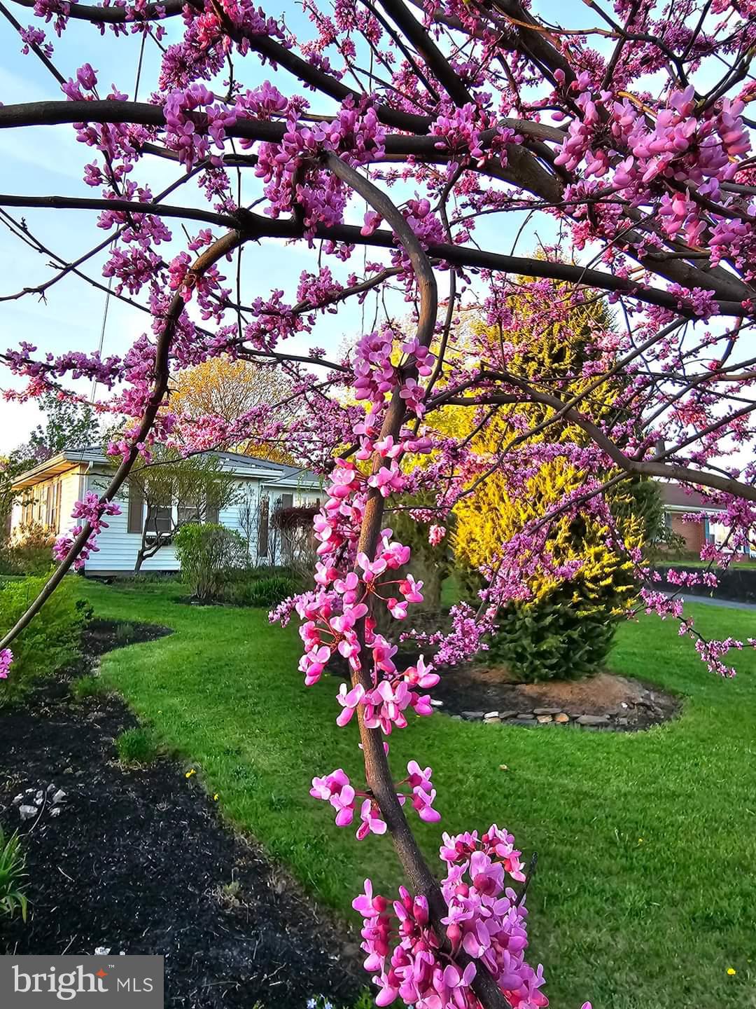 ST THOMAS - Residential