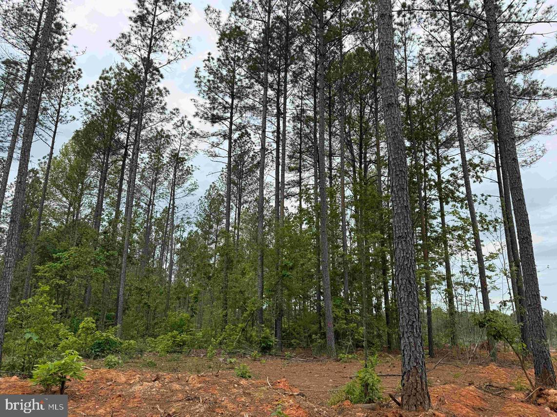 WEST RIVER ROAD (TRACT: JR SADIE FLANAGAN-2)